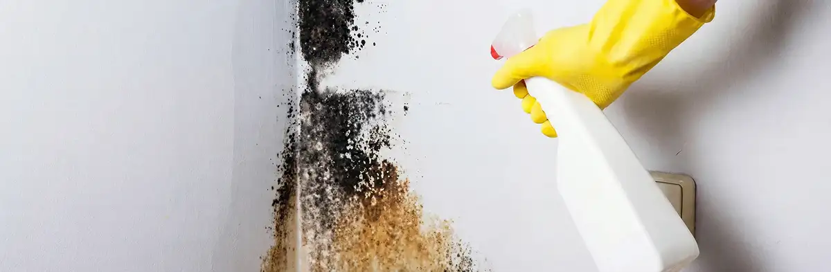 visible mold growth on an interior wall being treated during mold removal service in Oklahoma City, OK